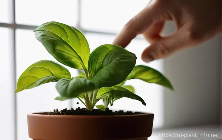 바질 로즈마리 등 허브 키우기 차이점 - **Prompt:** A close-up shot of a vibrant, lush basil plant thriving on a sun-drenched windowsill in ...