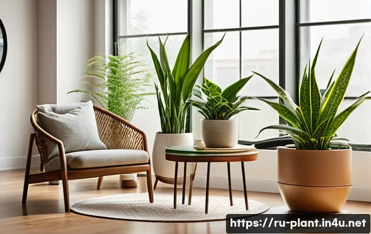 공기정화식물 효과 과장 여부 - A cozy modern living room interior featuring several medium-sized indoor plants such as snake plant ...